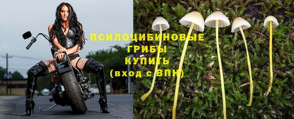 стафф Балабаново