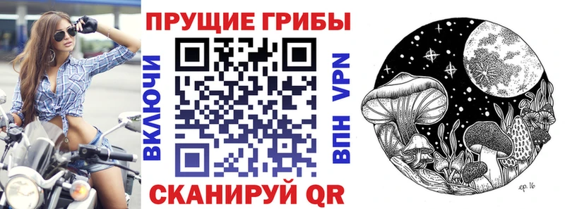 Галлюциногенные грибы мухоморы  Мончегорск 