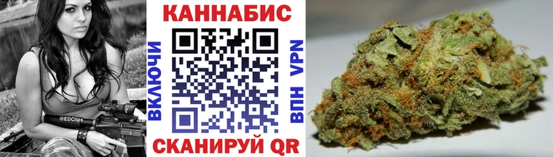 Шишки марихуана марихуана где можно купить Мончегорск